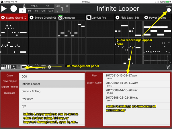 Managing Infinite Looper projects and audio recordings