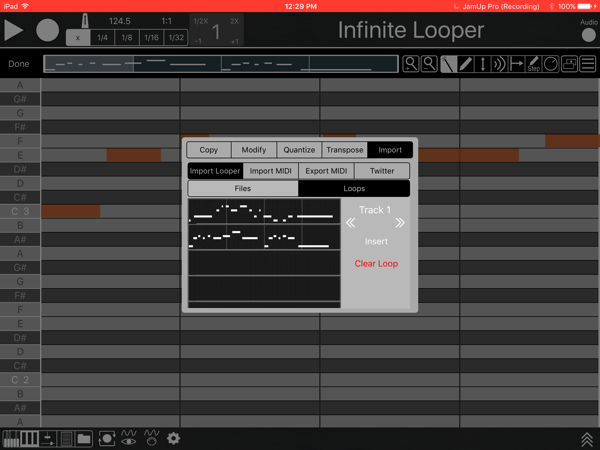 Importing Loops from other Infinite Looper projects